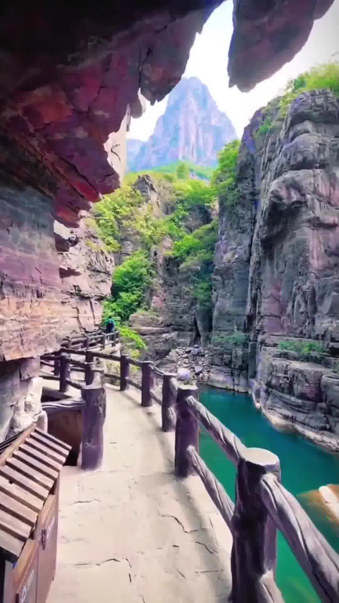 河南小巷独特风味探寻之旅