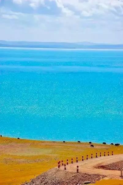 青海阳光下的温暖故事