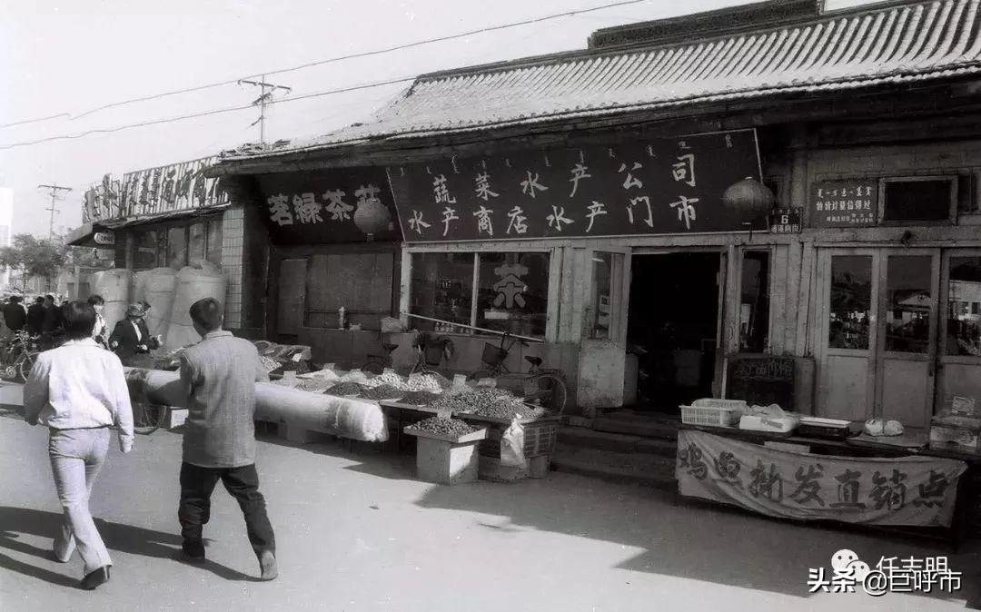 暖阳呼和浩特，温馨时光掠影