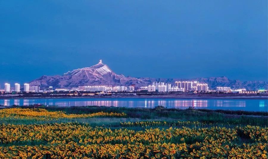 乌海深巷秘境，探寻乌海特色小店花园