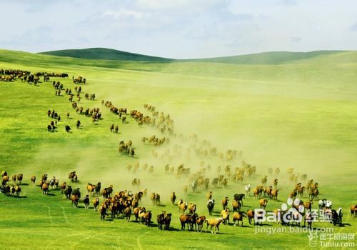 呼伦贝尔，草原明珠，文化摇篮之旅